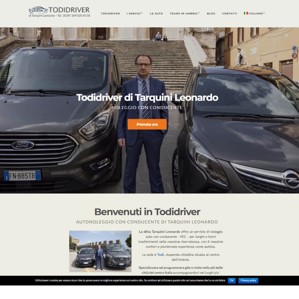 sito web todidriver